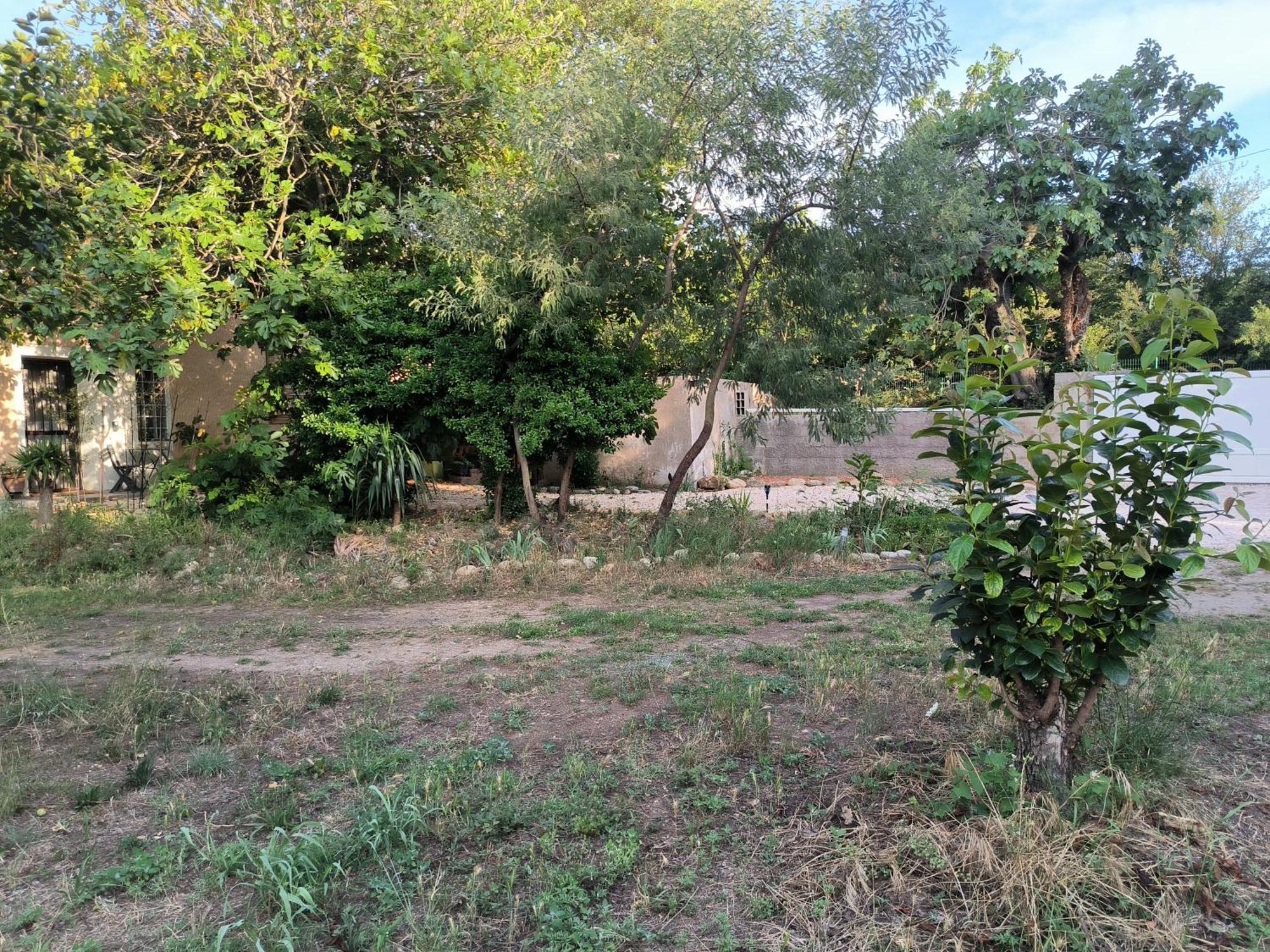 Location Saisonniere Curiste Apartment Montesquieu  Exterior foto
